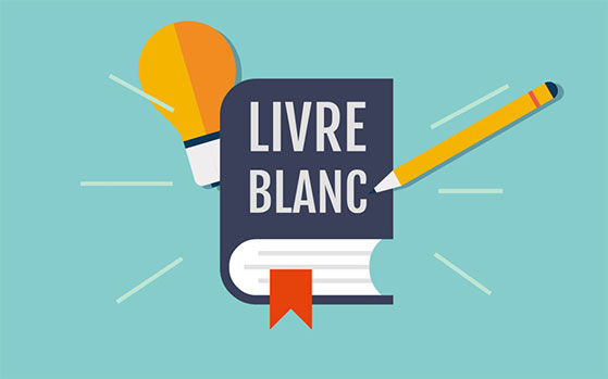 Guide gratuit : Marketing pour clubs